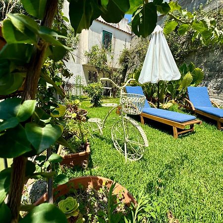 Gogas Amalfi Coast Daire Cetara Dış mekan fotoğraf